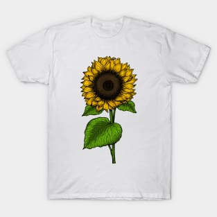 Sunflower 4 T-Shirt